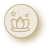 Anti-Aging und Longevity-Konzepte