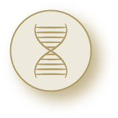DNA-Analyse